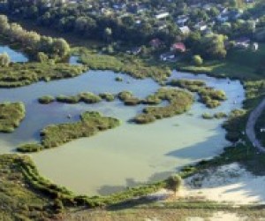 Студентів з постраждалих районів переведуть на бюджетну форму навчання