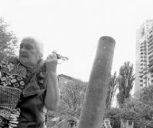 Вузы превращаются в парковки