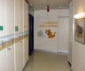 У дитсадку знову отруїлися діти