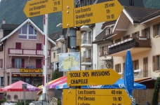 Швейцарський інститут проведе індивідуальні консультації в Києві