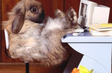 Про управління майже серйозно