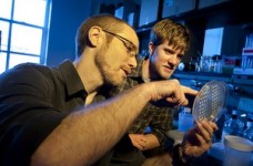 Вітчизняна промисловість зазнає дефіциту кадрів