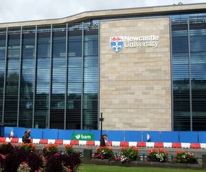 Стипендії на підготовчі програми Університету Ньюкасла