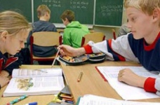 Депутати Верховної Ради не підтримали мораторій на закриття сільських шкіл