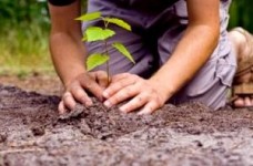 Екологічна освіта: новий навчально-методичний комплекс "Зелений пакет"