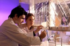 Стипендіальні дослідницькі програми в ОАЕ