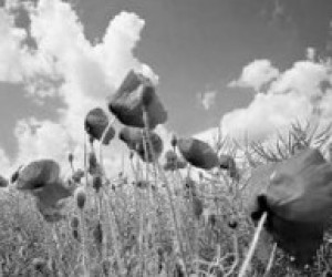 "Подростковая наркозависимость" - Можно ли ее определить на ранней стадии?