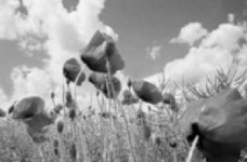 "Подростковая наркозависимость" - Можно ли ее определить на ранней стадии?