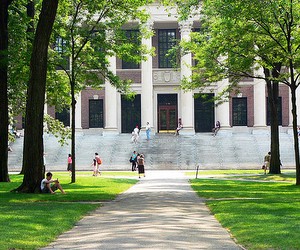 Реалізація програми "Нова еліта нації"