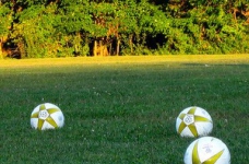 Українських дітей масово вчитимуть футболу за німецькі гроші