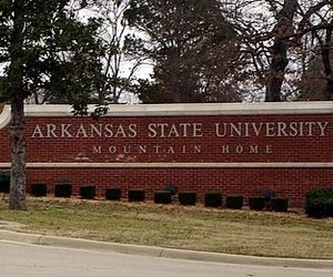 Вища освіта у Державному університеті Арканзасу (США)