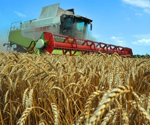 Аграрне господарство потребує фахівця нової генерації