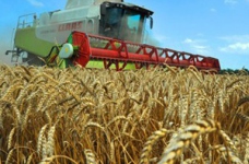 Аграрне господарство потребує фахівця нової генерації