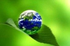 Міжнародний навчальний проект “Європейські школи за живу планету”