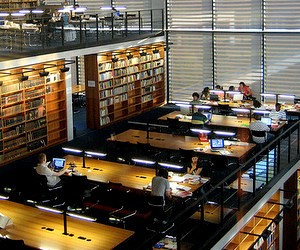 Безкоштовна вища освіта в Університеті ім. Мартіна Лютера (Німеччина)