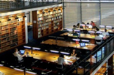 Безкоштовна вища освіта в Університеті ім. Мартіна Лютера (Німеччина)