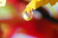 ECO FEST: Екологічний проект для школярів і студентів