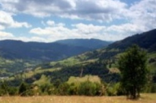 Усе, що слід знати про відпустки