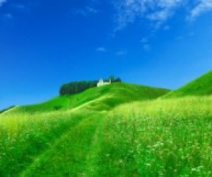 Види відпусток