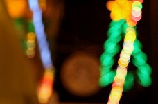 Двотижневий різдвяний курс англійської мови в Беджбері, Англія