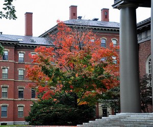 Молоді українці стажуються у Гарварді, щоб стати державними службовцями