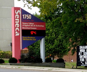 Seneca College (Канада)