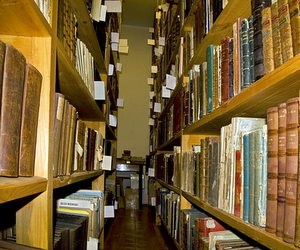 Державні бібліотеки фінансуються за залишковим принципом