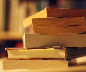 Плюси і мінуси проекту програми світової літератури