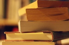 Плюси і мінуси проекту програми світової літератури