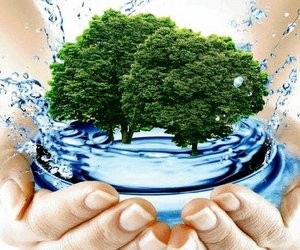 Німецька програма для молодих учених у сфері природокористування