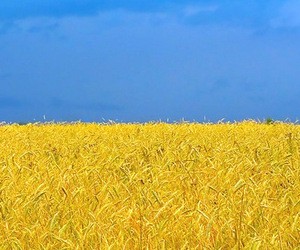 Завершено проведення ЗНО з історії України