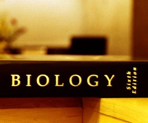 7 червня відбудеться ЗНО з біології