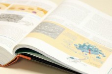 Центр оцінювання знову припустився помилок, тепер у тесті з біології