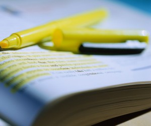 Опубліковані правильні відповіді на завдання тесту ЗНО з біології