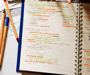 Визначено результати учасників ЗНО з фізики