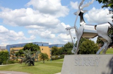 Підготовчі програми University of Surrey