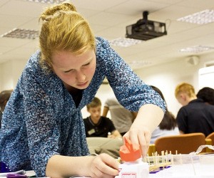 Де влітку заробляють студенти?