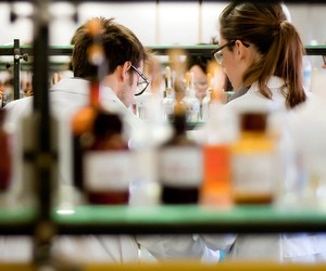 Диплом фармацевта в Німеччині: навчання з перспективою