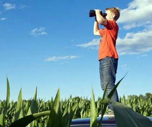 Освіта в Німеччині: як обрати фах