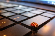 Розвивальна інформатика у школі