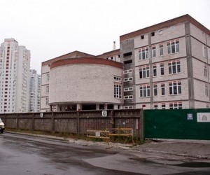 Близько 2 тисяч батьків проти створення в Києві російськомовної гімназії