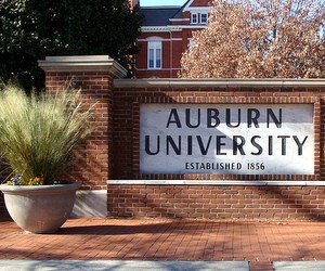 Auburn University (США)