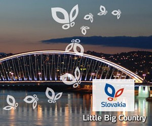 Національна стипендіальна програма Словацької Республіки для іноземців