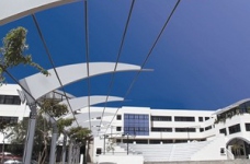 Online-МВА в Університеті Нікосії