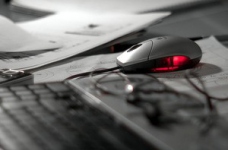 У держави немає коштів на Єдину електронну базу з питань освіти