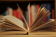 Визначено результати учасників ЗНО з української мови і літератури