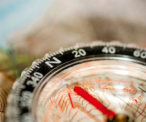 Визначено результати учасників ЗНО з географії