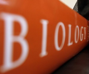 Визначено результати учасників ЗНО з біології