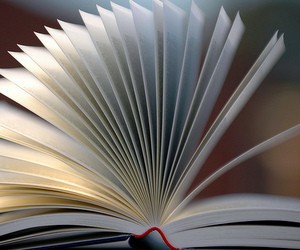 Чиновники МОН створюють бар’єри на ринку підручників