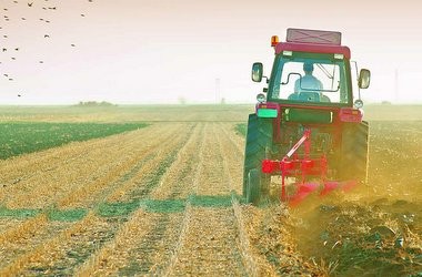 Розвиток управлінців у аграрній сфері